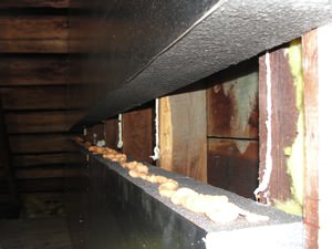 An effective attic insulation system in a Mount Bethel home